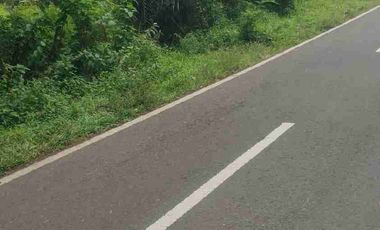 Dijual tanah di cimarga rangkas bitung lebak banten