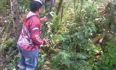 Dijual tanah di cimarga rangkas bitung lebak banten