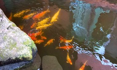 Pool Villa for Sale, Resort style, Panya Ramindra. Near the golf course