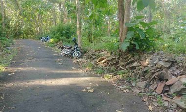 JUAL TANAH DI KREMBANGAN PANJATAN KULONPROGO