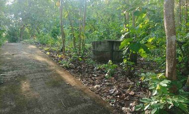 JUAL TANAH DI KREMBANGAN PANJATAN KULONPROGO