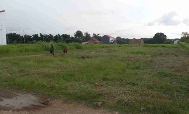 tanah luasan strategis dekat dengan kota Pemalang