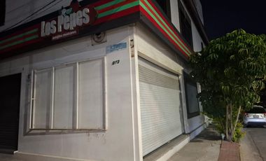 LOCAL COMERCIAL COL LA ALAMEDA LEON GUANAJUATO