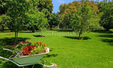 Leon Propiedades vende hermosa parcela con casa en sector Lo Águila , Curacaví.