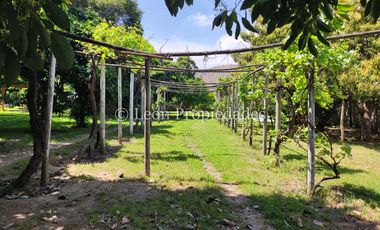 Leon Propiedades vende hermosa parcela con casa en sector Lo Águila , Curacaví.