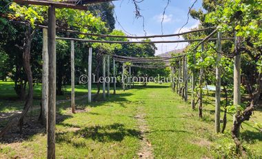 Leon Propiedades vende hermosa parcela con casa en sector Lo Águila , Curacaví.