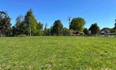 Vendo parcela 5.000 m2 independiente San Florentino, Casa de Lata, Osorno