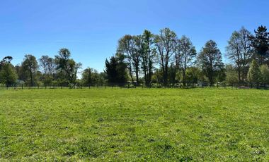 Vendo parcela 5.000 m2 independiente San Florentino, Casa de Lata, Osorno