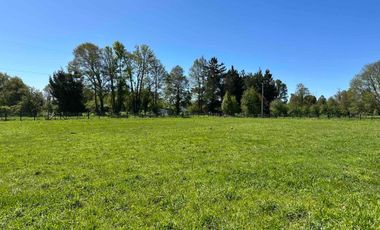 Vendo parcela 5.000 m2 independiente San Florentino, Casa de Lata, Osorno