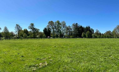 Vendo parcela 5.000 m2 independiente San Florentino, Casa de Lata, Osorno