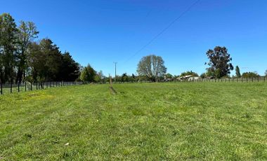 Vendo parcela 5.000 m2 independiente San Florentino, Casa de Lata, Osorno