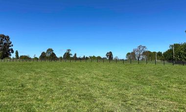 Vendo parcela 5.000 m2 independiente San Florentino, Casa de Lata, Osorno