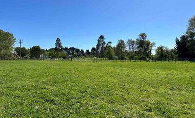 Vendo parcela 5.000 m2 independiente San Florentino, Casa de Lata, Osorno