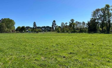 Vendo parcela 5.000 m2 independiente San Florentino, Casa de Lata, Osorno