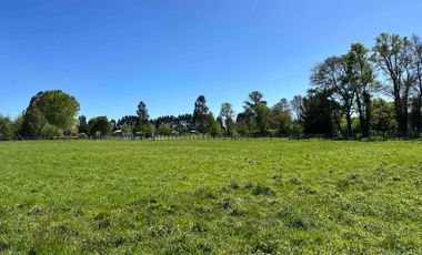 Vendo parcela 5.000 m2 independiente San Florentino, Casa de Lata, Osorno