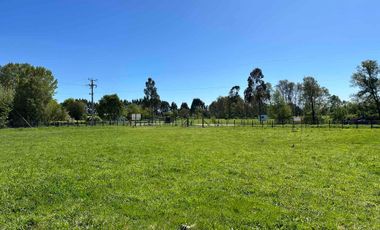 Vendo parcela 5.000 m2 independiente San Florentino, Casa de Lata, Osorno