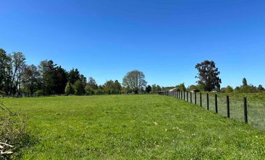 Vendo parcela 5.000 m2 independiente San Florentino, Casa de Lata, Osorno