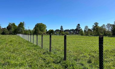 Vendo parcela 5.000 m2 independiente San Florentino, Casa de Lata, Osorno