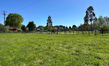 Vendo parcela 5.000 m2 independiente San Florentino, Casa de Lata, Osorno