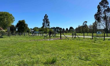 Vendo parcela 5.000 m2 independiente San Florentino, Casa de Lata, Osorno