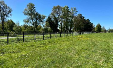 Vendo parcela 5.000 m2 independiente San Florentino, Casa de Lata, Osorno
