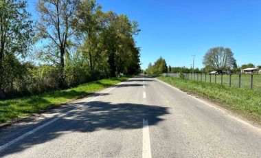 Vendo parcela 5.000 m2 independiente San Florentino, Casa de Lata, Osorno