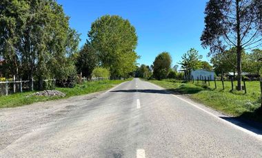 Vendo parcela 5.000 m2 independiente San Florentino, Casa de Lata, Osorno