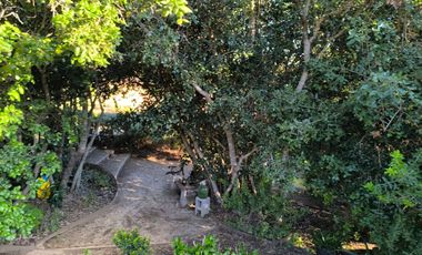 Venta De Parcela En Alcázar De Torres, Algarrobo