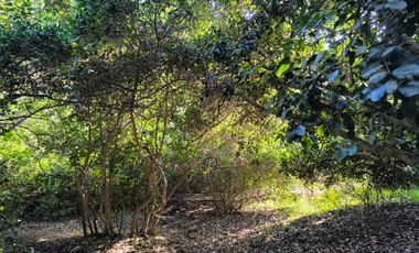 Venta De Parcela En Alcázar De Torres, Algarrobo
