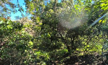 Venta De Parcela En Alcázar De Torres, Algarrobo