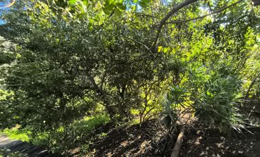Venta De Parcela En Alcázar De Torres, Algarrobo