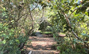 Venta De Parcela En Alcázar De Torres, Algarrobo