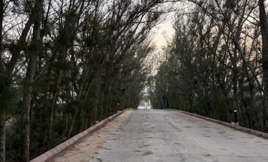 PREVENTA DE DEPARTAMENTOS– TORRE MILOS | VELAMAR