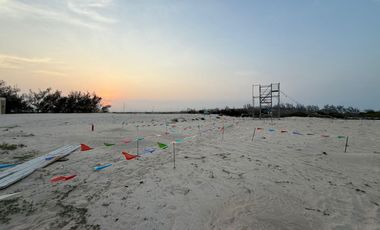 PREVENTA DE DEPARTAMENTOS– TORRE MILOS | VELAMAR