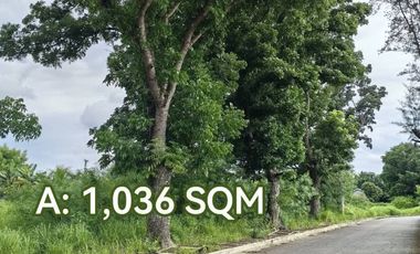 BACOLOD CITY LOT FOR SALE