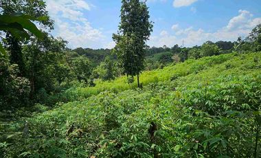 Dijual Tanah Jl KM13 Kariangau