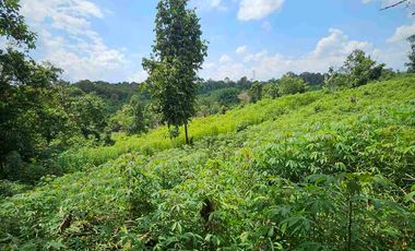 Dijual Tanah Jl KM13 Kariangau