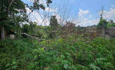 Dijual Tanah Jl KM13 Kariangau