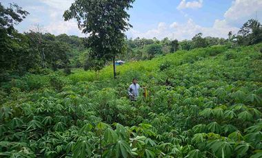 Dijual Tanah Jl KM13 Kariangau