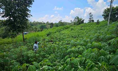 Dijual Tanah Jl KM13 Kariangau