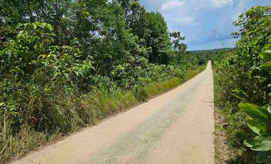 Dijual Tanah Jl Akses TPK Kariangau KM13