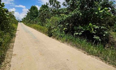 Dijual Tanah Jl Akses TPK Kariangau KM13