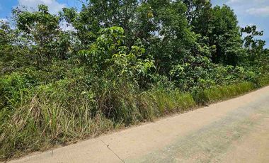 Dijual Tanah Jl Akses TPK Kariangau KM13