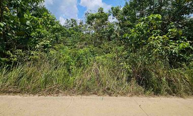 Dijual Tanah Jl Akses TPK Kariangau KM13