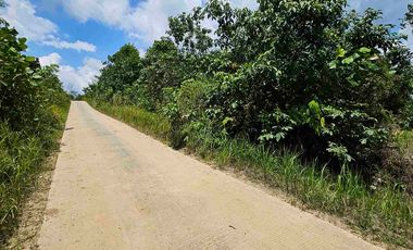 Dijual Tanah Jl Akses TPK Kariangau KM13