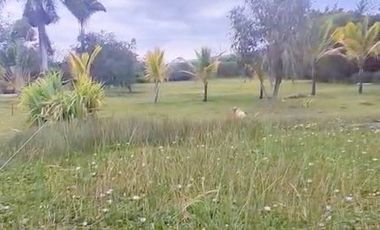 Terreno exclusivo en venta 5.000m2 lotizable La Atalaya - Yunguilla