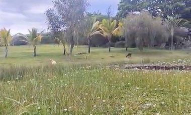 Terreno exclusivo en venta 5.000m2 lotizable La Atalaya - Yunguilla