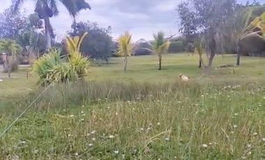 Terreno exclusivo en venta 5.000m2 lotizable La Atalaya - Yunguilla