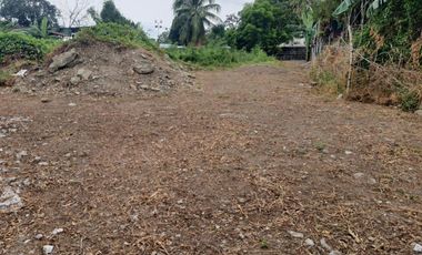 Commercial Lot with Building and income For Sale at Bacoor City Cavite