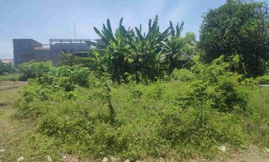 Tanah Langka Ocean View 5 menit dari pelabuhan Sanur